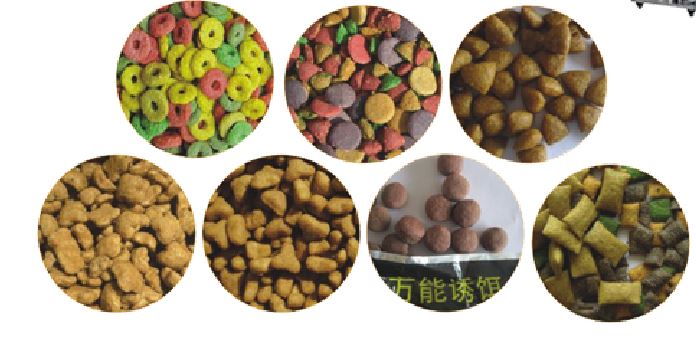 Pet food processing machinery